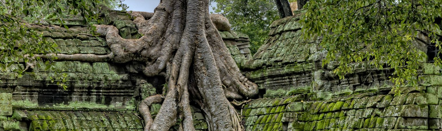 Cambodja
